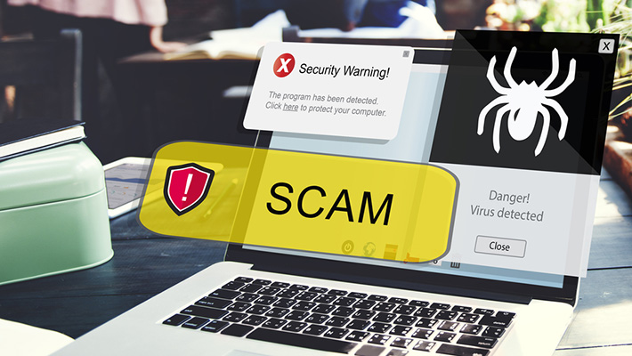 Spotting Scams: Protect Yourself by Noting Fake Websites